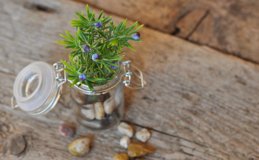 21 Brilliant Ways To Reuse Glass Jars