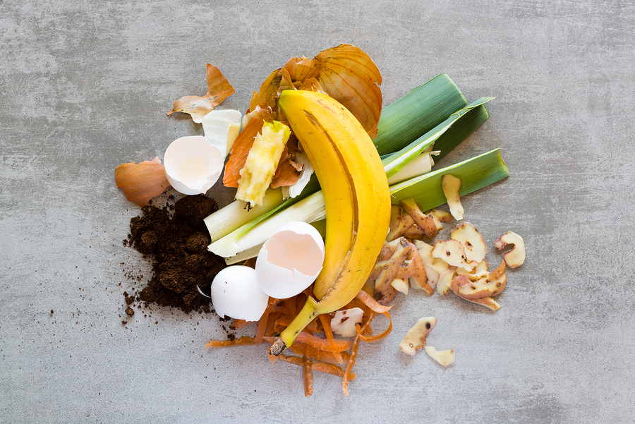 Why Your Business Should Recycle Its Food Waste The Waste Management 