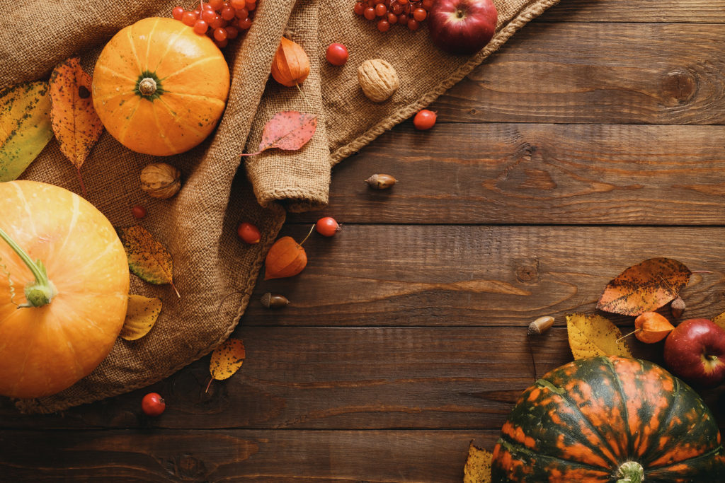 How to plan a sustainable Halloween – The Waste Management & Recycling Blog